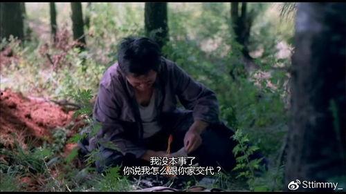 叶落归根在线观看,寻根之旅,情感共鸣的视觉盛宴 第2张 叶落归根在线观看,寻根之旅,情感共鸣的视觉盛宴 第2张