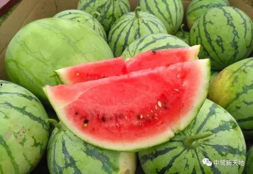 甜的娱乐吃瓜,揭秘娱乐圈甜蜜瓜皮背后的故事